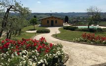 Photos éffectuées par les clients de Villa Roberto