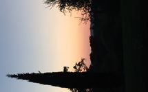 Photos éffectuées par les clients de Podere Orietta