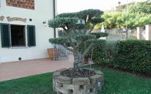 Photos éffectuées par les clients de Antico Fienile