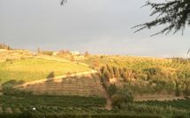 Photos éffectuées par les clients de Casa Rossa