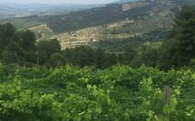 Photos éffectuées par les clients de Castellinuzza