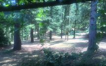 Photos éffectuées par les clients de Palazzo Rosadi