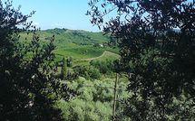 Photos éffectuées par les clients de Villa la Vedetta