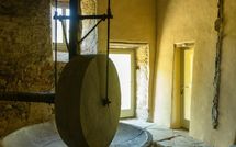 Photos éffectuées par les clients de Podere Torremozza