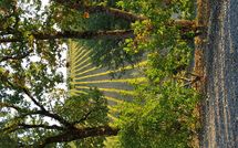 Photos éffectuées par les clients de Le Gallozzole