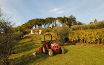 Photos éffectuées par les clients de Casa Lucia