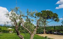 Photos éffectuées par les clients de Podere Romina Exclusive