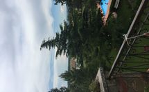 Photos éffectuées par les clients de Maesta dei Mori