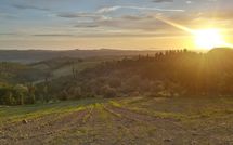 Photos éffectuées par les clients de Casa Anna