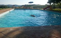 Photos éffectuées par les clients de Vittoriana