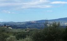 Photos éffectuées par les clients de Villa Orchidea