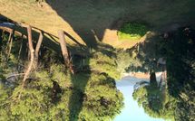 Photos éffectuées par les clients de Spuntone