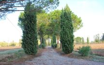 Photos éffectuées par les clients de Villa Ponticelli