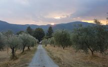 Photos éffectuées par les clients de Il Castagneto