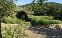 Photos éffectuées par les clients de Villa Vertine