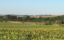 Photos éffectuées par les clients de Villa San Fabiano