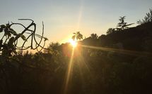 Photos éffectuées par les clients de Vinci 820