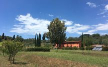 Photos éffectuées par les clients de Al Valentino