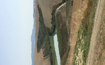 Photos éffectuées par les clients de Agriturismo Il Gattero