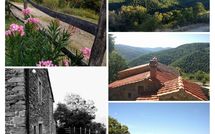 Photos éffectuées par les clients de Tribbiano