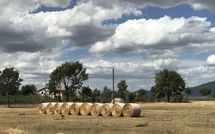 Photos éffectuées par les clients de Case Sant'Anna