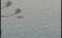 Photos éffectuées par les clients de Il Sorriso