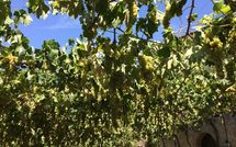 Photos éffectuées par les clients de Villa Piazza della Fortezza