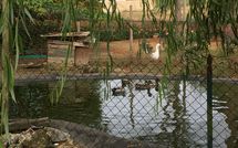 Photos éffectuées par les clients de Pagliazzone