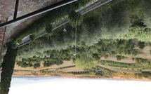 Photos éffectuées par les clients de Loggia del Poggiolo