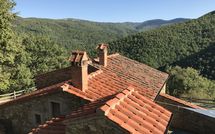 Photos éffectuées par les clients de Tribbiano