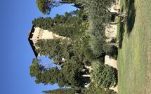 Photos éffectuées par les clients de Rocca di Cetona