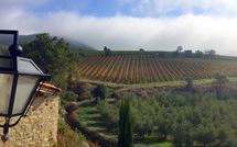 Photos éffectuées par les clients de Villa Nova