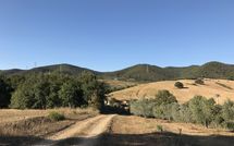 Photos éffectuées par les clients de Santa Barbera