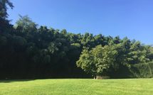 Photos éffectuées par les clients de Alisso