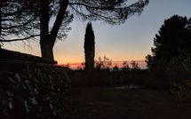 Photos éffectuées par les clients de Spuntone