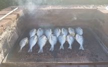 Photos éffectuées par les clients de Torre di Vignale