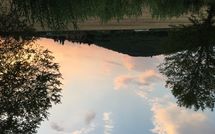 Photos éffectuées par les clients de Il Pasqualino