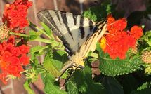 Photos éffectuées par les clients de Casa Fiora