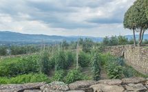 Photos éffectuées par les clients de Villa Agazzi