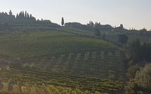 Photos éffectuées par les clients de Casa Rossa