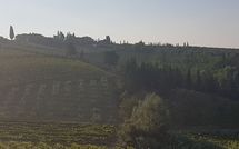 Photos éffectuées par les clients de Casa Rossa