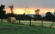 Photos éffectuées par les clients de Podere Capraia