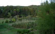 Photos éffectuées par les clients de Rufina 200