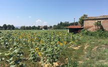 Photos éffectuées par les clients de Villa la Fragola