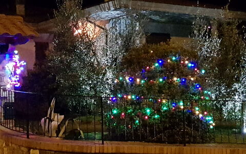 La Casina Del Canneto: Éclairage, Lumière, Nuit, Éclairage Paysager, Arbre, Architecture, Design Intérieur