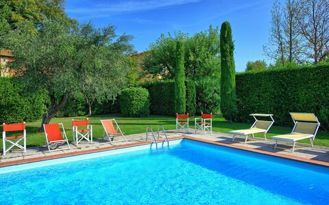 Villa Fiamma: L'Eau, Plante, Ciel, Piscine, Propriété, Meubles, Vert, Bleu Azur, La Nature, Bleu