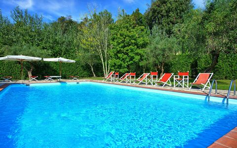 Villa Fiamma: L'Eau, Plante, Piscine, Ciel, Bleu Azur, Nuage, Arbre, Mobilier De Jardin, Paysage Naturel, Rectangle