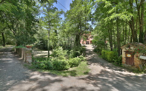Podere Il Doccio: Arbre, Réserve Naturelle, Végétation, Propriété, Environnement Naturel, Biome, Forêt, Piste, Des Bois, Lot Terre