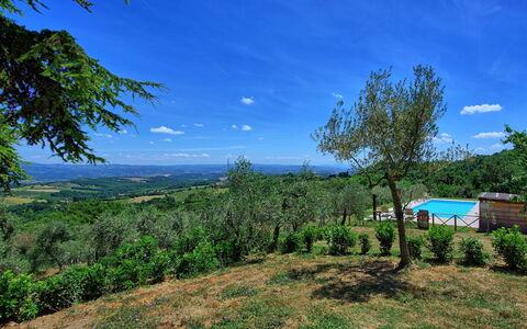 Casa Olivia: La Nature, Végétation, Ciel, Paysage Naturel, Bleu, Propriété, Arbre, Vert, Environnement Naturel, Région Sauvage