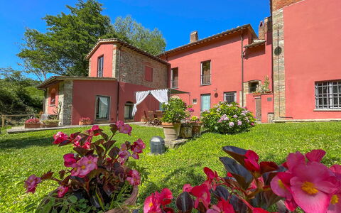 Mulino a Montegonzi Di Rimaggio: Fleur, Ciel, Plante, Fenêtre, Bâtiment, Vert, Pot De Fleur, Arbre, Herbe, Maison